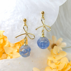 青と紫のグラデーションのプリザーブドフラワーボール型樹脂イヤリング、美しいものの完璧なシリーズ 1枚目の画像