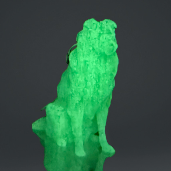 ボーダーコリー　mini3D蓄光（夜光）キーホルダー　半透明蓄光樹脂製 6枚目の画像