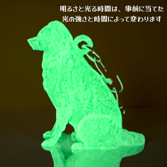 ボーダーコリー　mini3D蓄光（夜光）キーホルダー　半透明蓄光樹脂製 7枚目の画像
