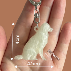 ボーダーコリー　mini3D蓄光（夜光）キーホルダー　半透明蓄光樹脂製 2枚目の画像