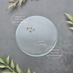 【数量限定】金木犀と銀木犀 | ピアス / イヤリング 12枚目の画像