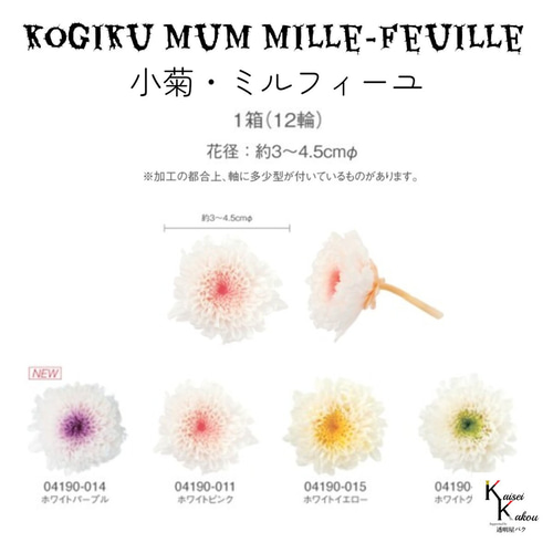 大地農園「小菊ミルフィーユ ホワイトピンク 12輪」プリザーブド