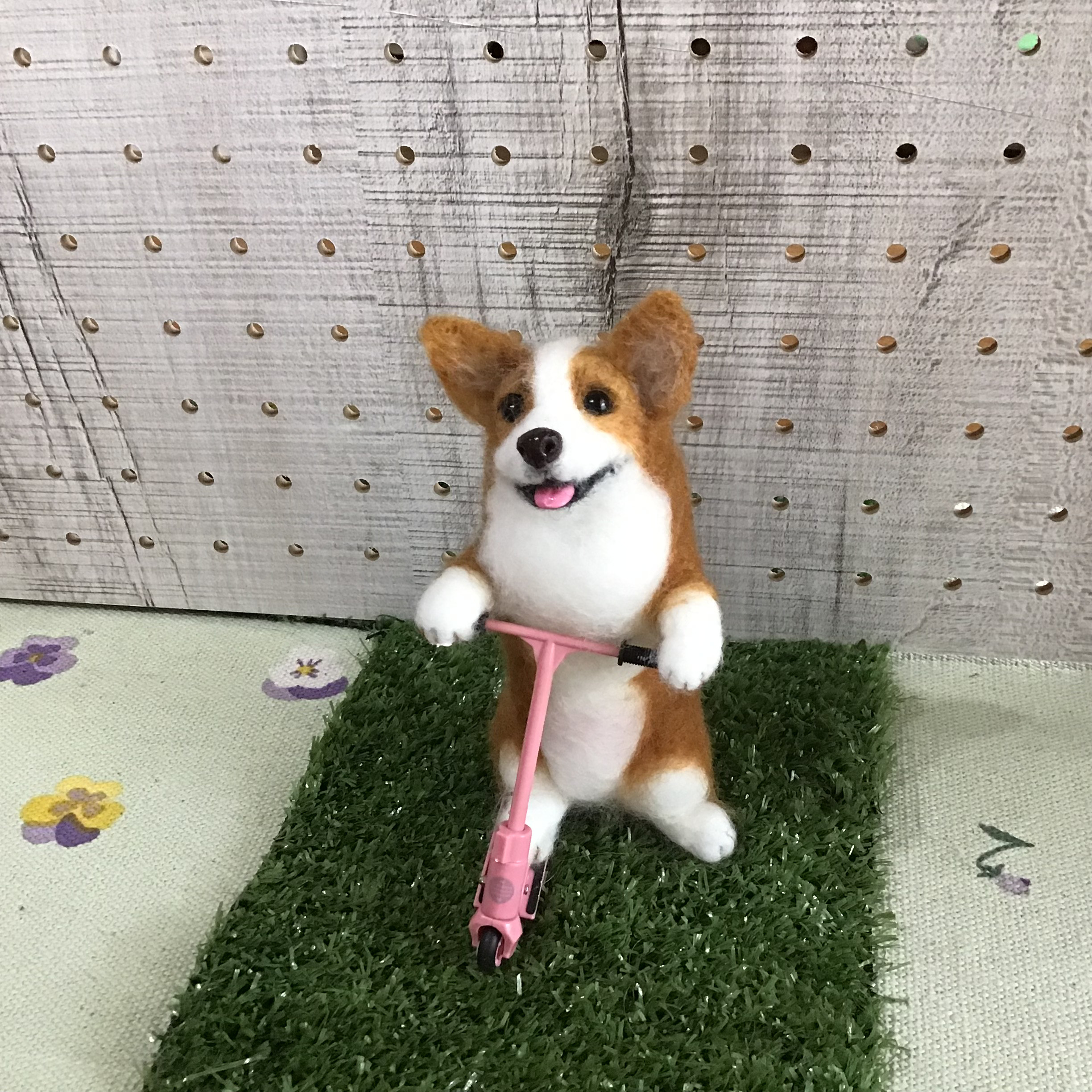 キックボードを操るコーギー❣️