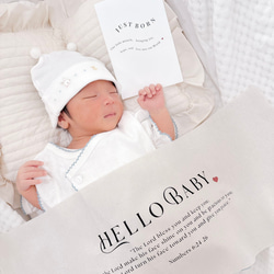 ニューボーンタペストリー＆カード2点セット　ウェルカムベビー　ハローベビー　出産祝い　命名書 3枚目の画像