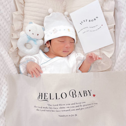 ニューボーンタペストリー＆カード2点セット　ウェルカムベビー　ハローベビー　出産祝い　命名書 1枚目の画像