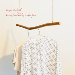 80ｃｍサイズのシンプルな流木のハンガーラック 衣装掛け ハンギング 吊り下げ N7 5枚目の画像