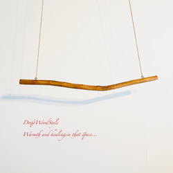 80ｃｍサイズのシンプルな流木のハンガーラック 衣装掛け ハンギング 吊り下げ N7 7枚目の画像