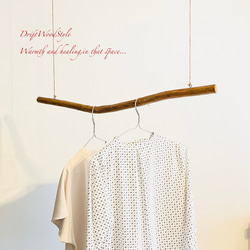 80ｃｍサイズのシンプルな流木のハンガーラック 衣装掛け ハンギング 吊り下げ N7 6枚目の画像