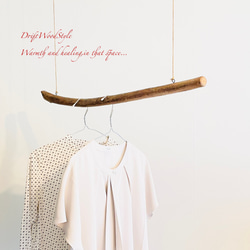 80ｃｍサイズのシンプルな流木のハンガーラック 衣装掛け ハンギング 吊り下げ N9 1枚目の画像