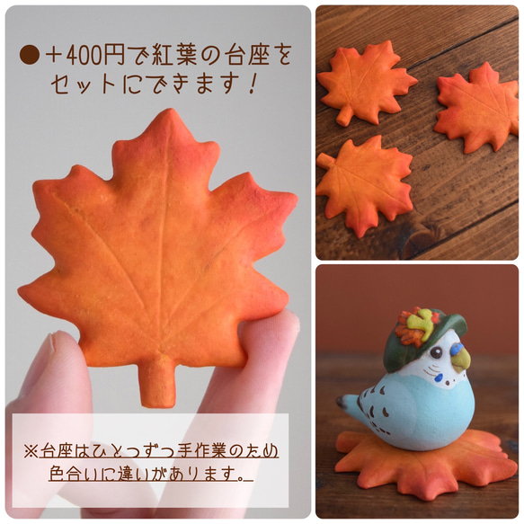 秋のことりたち 4枚目の画像