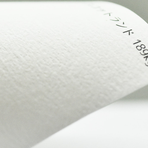 送料無料】アクセサリー台紙 オーバル 台紙 箔押し 80枚 タグ・台紙