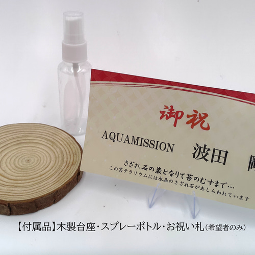 ギフト専門】苔テラリウム 15cm ＜森と川＞タイプ（選べる天然石の