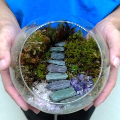 ギフト専門】苔テラリウム 15cm ＜森と川＞タイプ（選べる天然石の