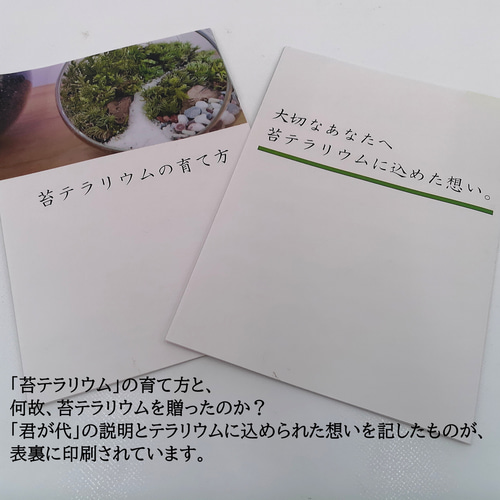 ギフト専門】苔テラリウム 15cm ＜森と川＞タイプ（選べる天然石の
