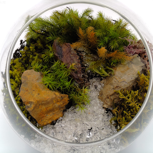 ギフト専門】苔テラリウム 15cm ＜森と川＞タイプ（選べる天然石の
