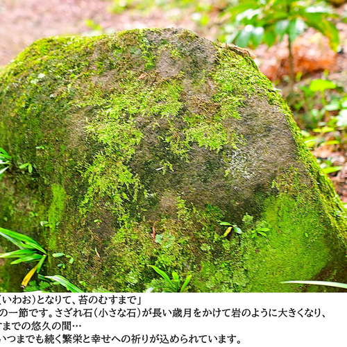 ギフト専門】苔テラリウム 15cm ＜森と川＞タイプ（選べる天然石の
