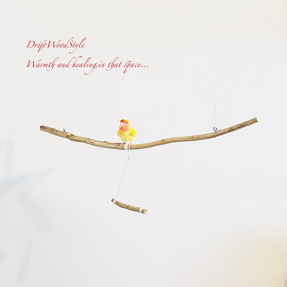 流木止まり木  シンプルな天然流木の小鳥の止まり木 吊り下げタイプ インコ 鳥 ブランコ 自然木 N58 2枚目の画像