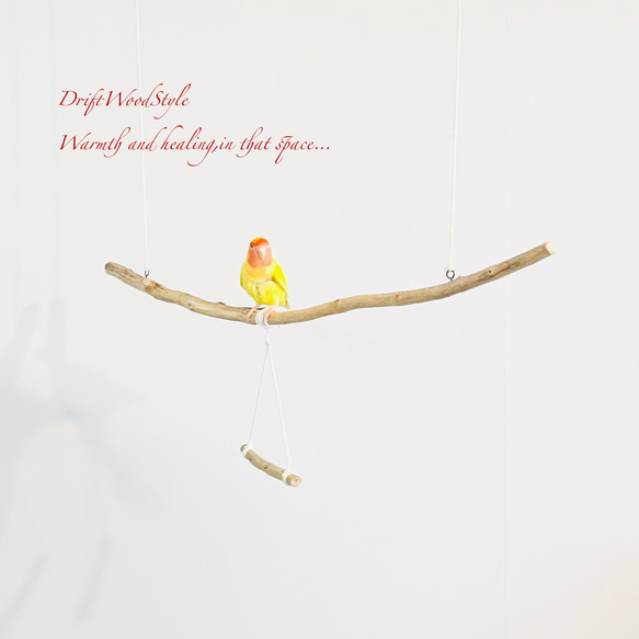 流木止まり木  シンプルな天然流木の小鳥の止まり木 吊り下げタイプ インコ 鳥 ブランコ 自然木 N58 1枚目の画像
