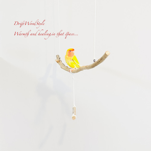 流木止まり木  シンプルな天然流木の小鳥の止まり木 吊り下げタイプ インコ 鳥 ブランコ 自然木 N58 3枚目の画像