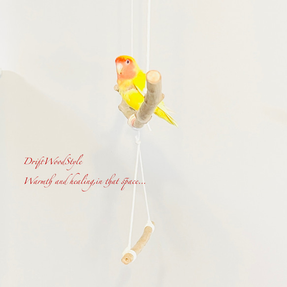 流木止まり木  シンプルな天然流木の小鳥の止まり木 吊り下げタイプ インコ 鳥 ブランコ 自然木 N58 4枚目の画像