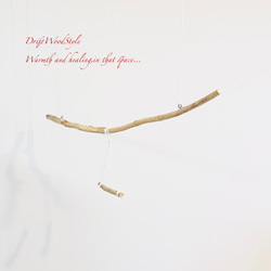 流木止まり木  シンプルな天然流木の小鳥の止まり木 吊り下げタイプ インコ 鳥 ブランコ 自然木 N58 5枚目の画像