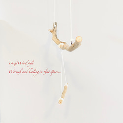 流木止まり木  シンプルな天然流木の小鳥の止まり木 吊り下げタイプ インコ 鳥 ブランコ 自然木 N58 8枚目の画像