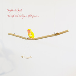 流木止まり木  シンプルな天然流木の小鳥の止まり木 吊り下げタイプ インコ 鳥 ブランコ 自然木 N59 1枚目の画像