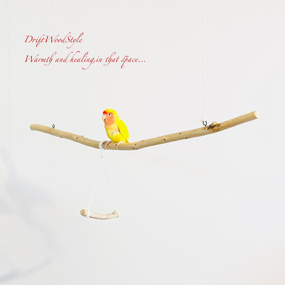 流木止まり木  シンプルな天然流木の小鳥の止まり木 吊り下げタイプ インコ 鳥 ブランコ 自然木 N59 1枚目の画像