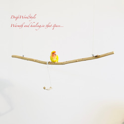 流木止まり木  シンプルな天然流木の小鳥の止まり木 吊り下げタイプ インコ 鳥 ブランコ 自然木 N59 2枚目の画像