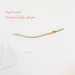 流木止まり木  シンプルな天然流木の小鳥の止まり木 吊り下げタイプ インコ 鳥 ブランコ 自然木 N59 5枚目の画像