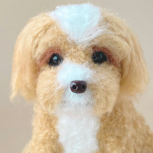 いつでもいっしょ♪ ふわふわマルプー 犬のぬいぐるみ 羊毛フェルト