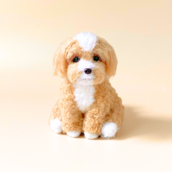 いつでもいっしょ♪ ふわふわマルプー 犬のぬいぐるみ 羊毛フェルト