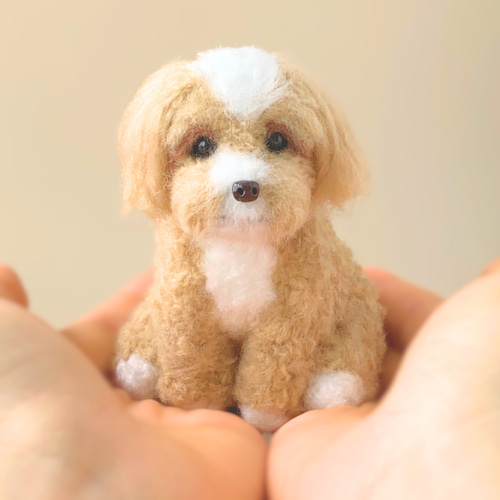 いつでもいっしょ♪ ふわふわマルプー 犬のぬいぐるみ 羊毛フェルト