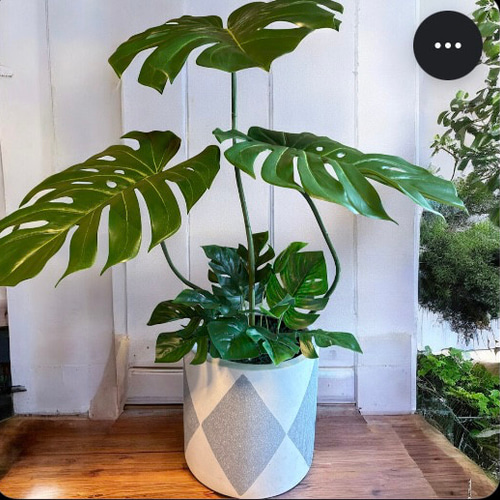 光触媒　人工観葉植物　ウォールグリーン　フェイクグリーン　バリ風特大モンステラ8 光触媒 人工観葉植物 ウォールグリーン フェイクグリーン バリ風特大