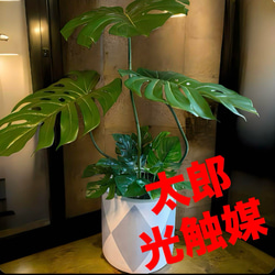 光触媒 人工観葉植物 ウォールグリーン フェイクグリーン