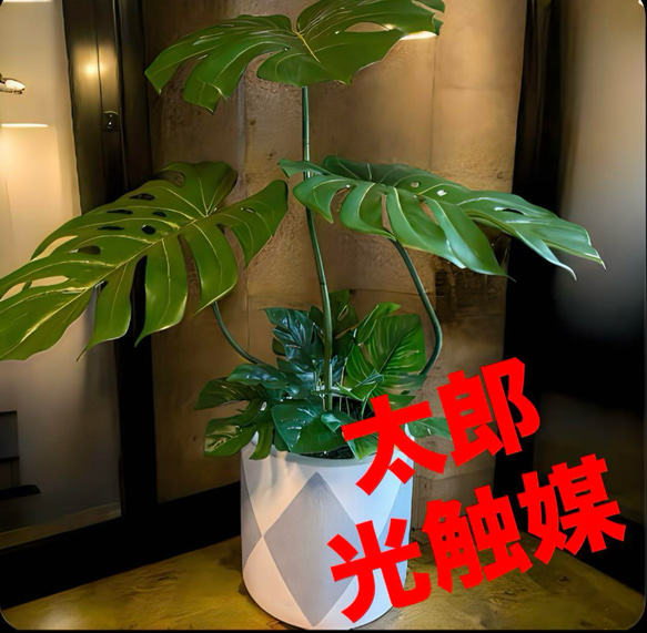 光触媒　人工観葉植物　ウォールグリーン　フェイクグリーン　バリ風モンステラ特大4 光触媒 人工観葉植物 ウォールグリーン フェイクグリーン バリ風