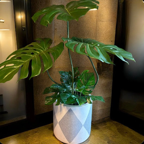 光触媒　人工観葉植物　ウォールグリーン　フェイクグリーン　バリ風特大モンステラ8 光触媒 人工観葉植物 ウォールグリーン フェイクグリーン バリ風特大