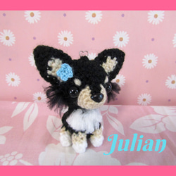 チワワ(ロングコート チョコタン) お座りポーズ 新作☆ ストラップor