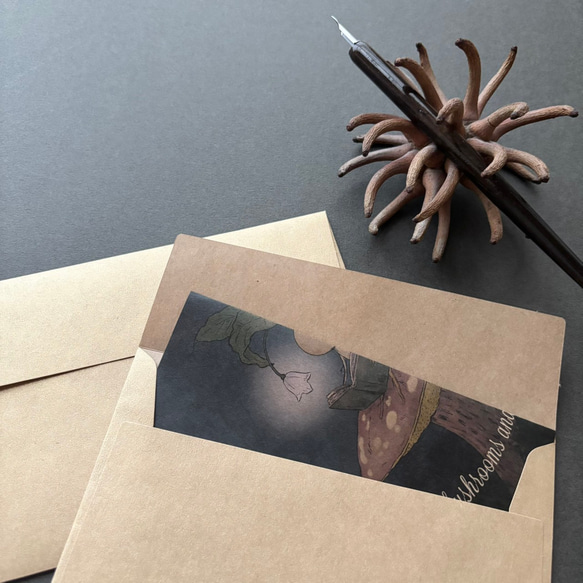 キノコとマンドラゴラ レターセット 7枚目の画像