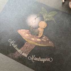 キノコとマンドラゴラ レターセット 3枚目の画像