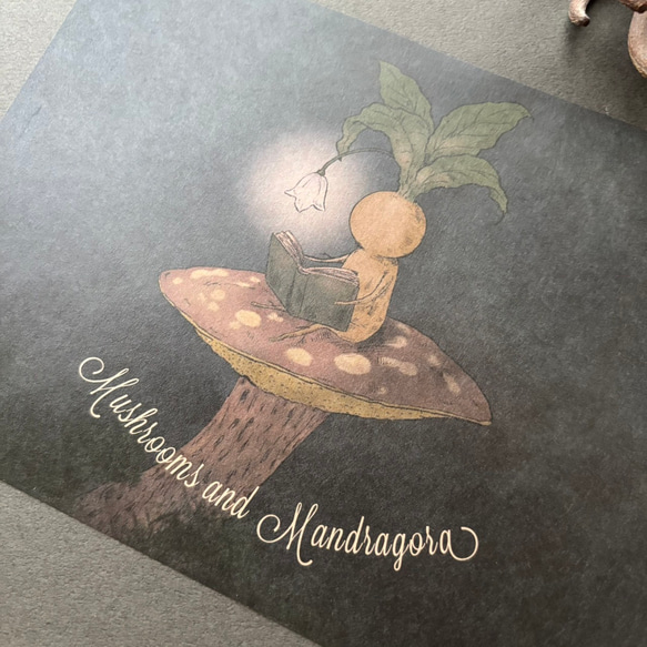 キノコとマンドラゴラ レターセット 3枚目の画像