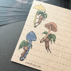 キノコとマンドラゴラ レターセット 4枚目の画像