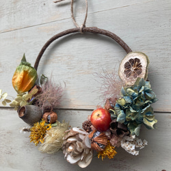 コットンとパンパスグラスのドライフラワーリース リース aimo 通販