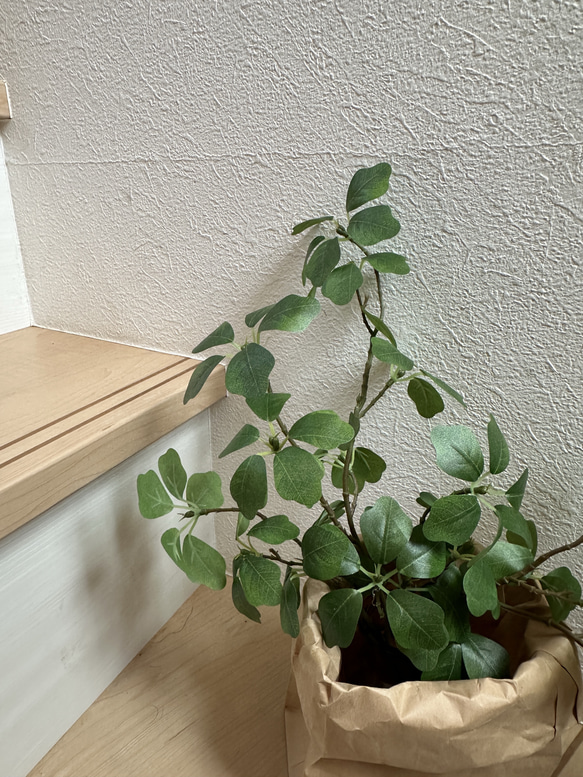 [送料込み] ドウダンツツジN8　クラフト袋セット フェイクグリーン　人工観葉植物 3枚目の画像