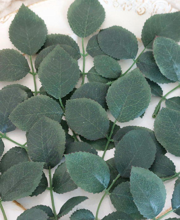 バラの葉っぱ（アートフラワー）A アートフラワー ビーマイン 通販