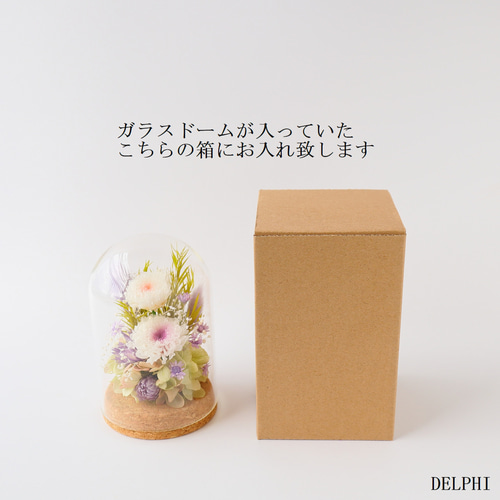 小菊のガラスドームアレンジメント（WHピンク＆WHパープル