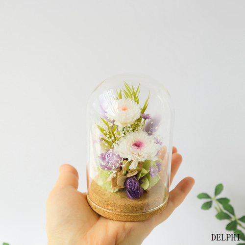 小菊のガラスドームアレンジメント（WHピンク＆WHパープル