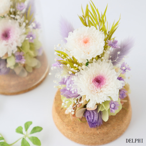 小菊のガラスドームアレンジメント（WHピンク＆WHパープル
