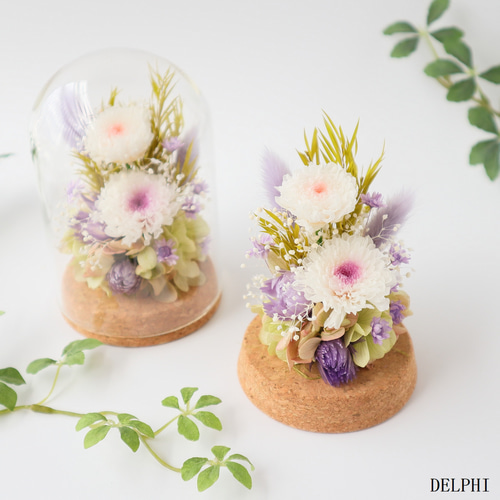 小菊のガラスドームアレンジメント（WHピンク＆WHパープル