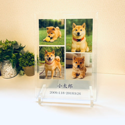 ペット 犬 猫 うちの子 写真 メモリアル プレート アート 名入れ ギフト 記念日 プレゼント おしゃれ 可愛い 思い 3枚目の画像